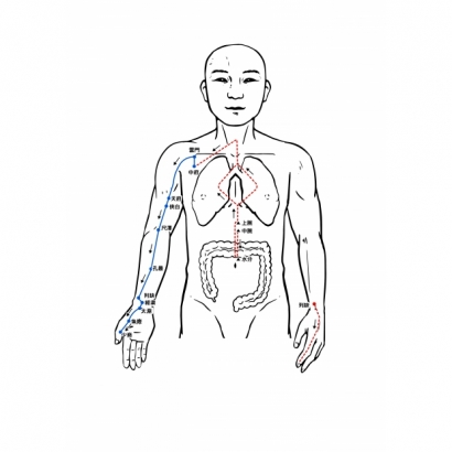01_手太陰肺經.jpg 01_手太陰肺經.jpg